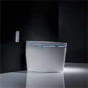 Умный унитаз с биде и сушкой приставной Domincare DCEF-1013B безободковый 10426