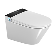 Умный унитаз с биде и сушкой подвесной Domincare DCEF-E55BDF 10431